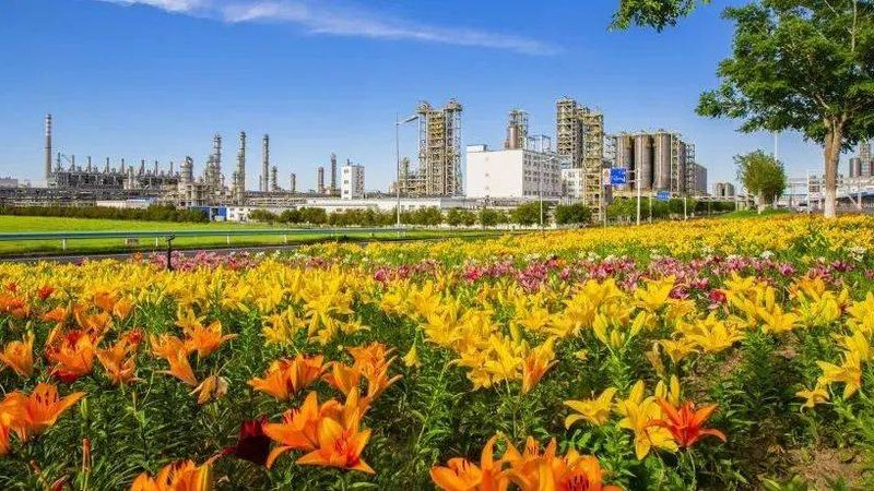 PBT加纤改性定制公司
