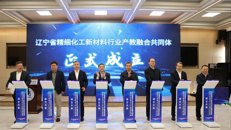 工业添加剂型号规格：揭秘其背后的技术奥秘**