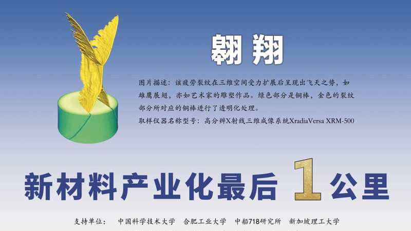 肉类防腐剂定制厂家：如何选择合适的合作伙伴